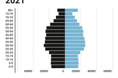 So sieht die Alterspyramide der Bevölkerung für das Jahr 2021 aus
