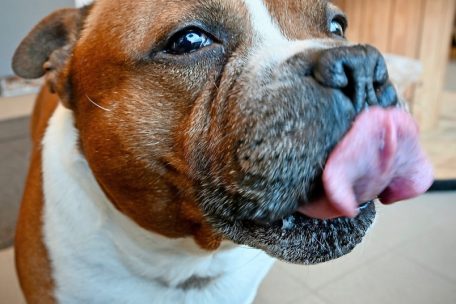 Coffi ist der Namensgeber der Feinkost-Boutique