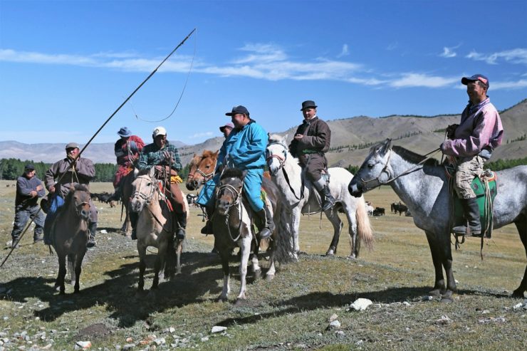 Reisereportage / Mongolei: Endlose Steppen und faszinierende Landschaft