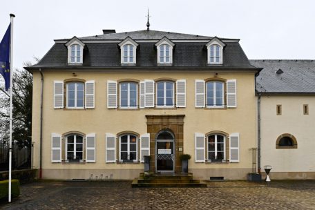 Der Wahlflüsterer / 48-Stunden-Tage