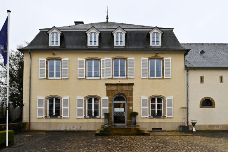 Der Wahlflüsterer / 48-Stunden-Tage