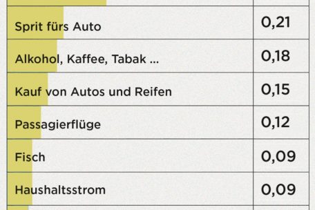 Die Grafik zeigt, welche Unterbereiche des privaten Konsums besonders viele Ressourcen verbrauchen. Würden alle Menschen so konsumieren wie die Einwohner Luxemburgs, wären beispielsweise nur für die Produktion von Lebensmitteln tierischen Ursprungs 0,66 Erden pro Jahr nötig.
