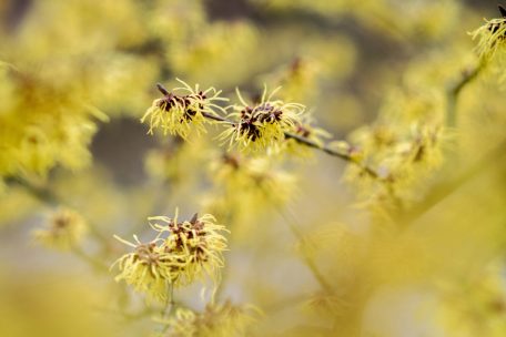 Der Erhalt der Biodiversit&auml;t ist eine der gr&ouml;&szlig;ten Herausforderungen unserer Zeit