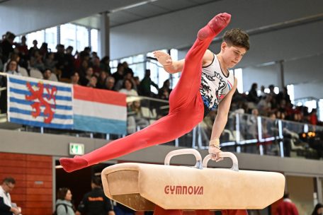 Ronan Foley schaffte es in vier Gerätefinals, holte jedoch keine Medaille