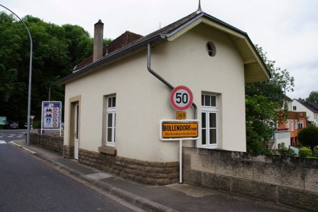 Bollendorferbrück / Umfallender Baum verletzt Person