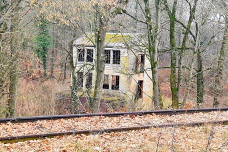 Spuren der Industrie finden sich &uuml;berall in Mirador: hier ein altes Elektrizit&auml;tswerk, das sich die Natur zur&uuml;ckerobert