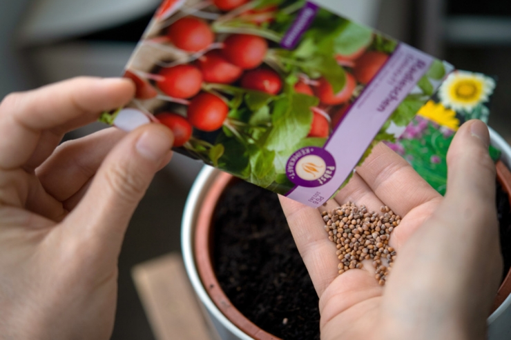 Vorarbeit für die Gartensaison / Aussaat planen: Treiben die alten Samen noch?