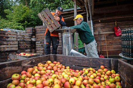 125 Jahre „Lëtzebuerger Landesuebstbauveräin“ / Selbstversorgungsrate von 25 Prozent angestrebt
