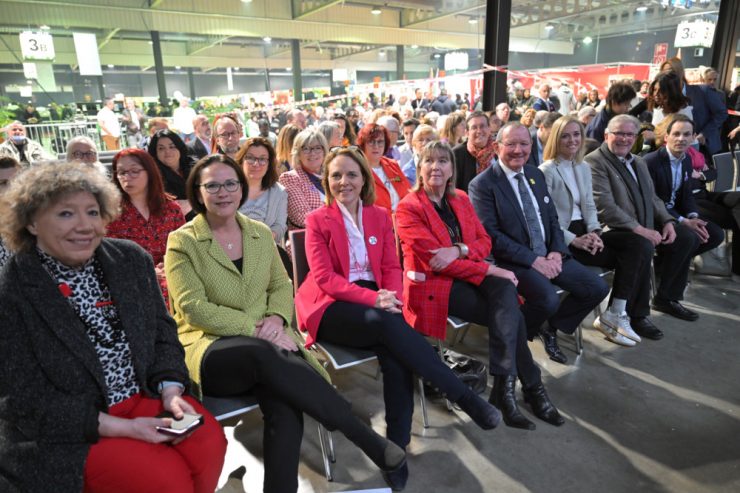 Der Wahlflüsterer / Im Wahlkampffieber – wenn auch nicht offiziell