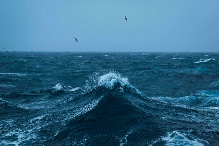 Umwelt / UN-Mitgliedstaaten einigen sich auf historisches Abkommen zum Schutz der Meere