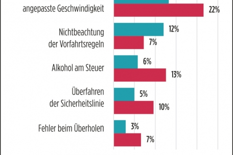 Anteil an allen mutmaßlichen Verkehrsverstößen je nach Art und Geschlecht