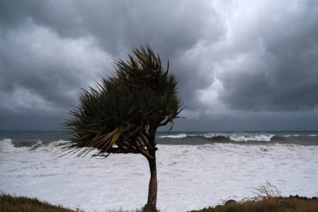 Tropensturm / „Freddy“ schreibt die Wettergeschichte neu – als wahrscheinlich der ausdauerndste Sturm aller Zeiten