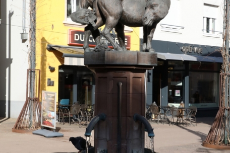 Esel sind überall in der Sauerstadt zu finden