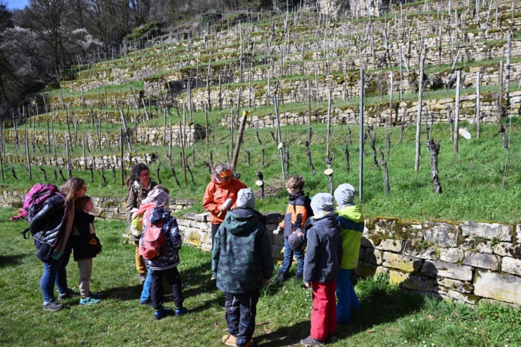 „miniWënzer“ / Den Weinberg spielerisch entdecken