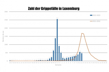 Die Grafik zu den saisonalen Influenza-Verl&auml;ufen zeigt: In der aktuellen Saison (blaue S&auml;ulen) gab es nach der ersten Welle (Typ A) einen weiteren Anstieg, diesmal der Typ-B-Variante. Erstmals seit Wochen wurden aber weniger F&auml;lle registriert. In der vergangenen Saison 21/22 (Linie) kam die Welle erst viel sp&auml;ter.
