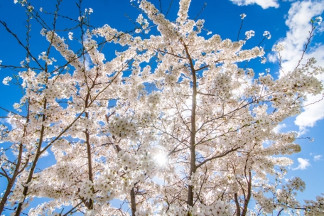 Inspirationen / Zehn Tipps, um den Start in den Frühling in vollen Zügen zu genießen