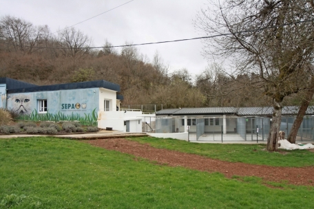 Hunde und Katzen / Escher Tierasyl zieht Bilanz von 2022: Fast 100 Haustiere erfolgreich adoptiert