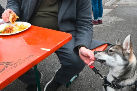 &bdquo;Das sieht ja mal lecker aus &hellip; Gibt es f&uuml;r mich auch etwas?&ldquo;
