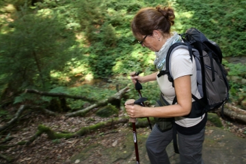 ORT Müllerthal / Rekordzahlen und schuldenfrei