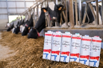 Milchproduktionskosten / Milchpreise fallen wieder