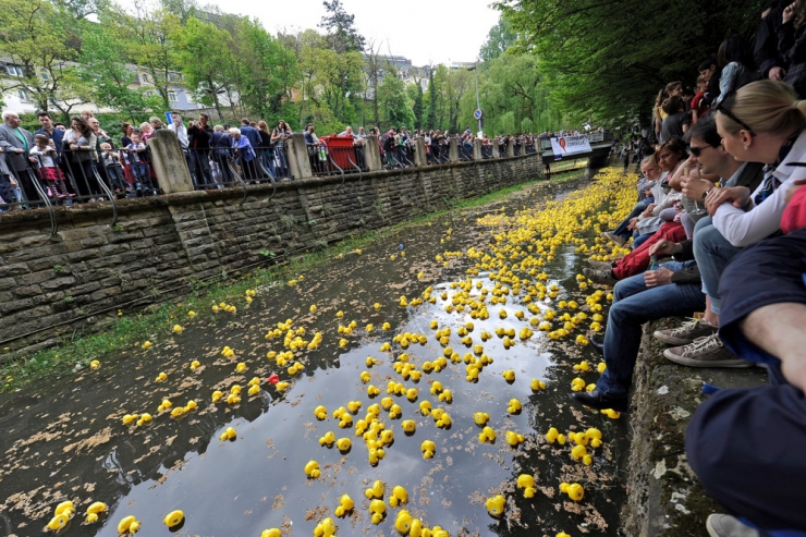 Luxemburg / „Duck Race“: Tausende Plastikenten schwimmen für humanitäre Zwecke durch die Alzette