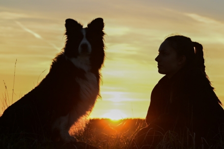 Hundesteuer / So viel kostet des Menschen bester Freund in Luxemburgs Gemeinden