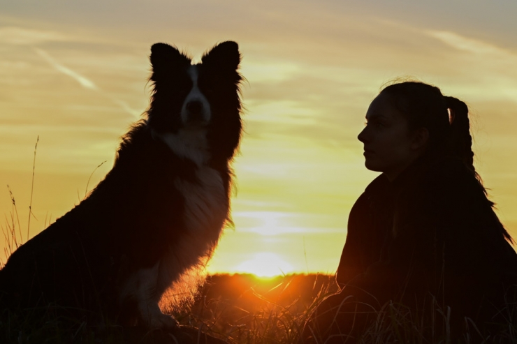 Hundesteuer / So viel kostet des Menschen bester Freund in Luxemburgs Gemeinden