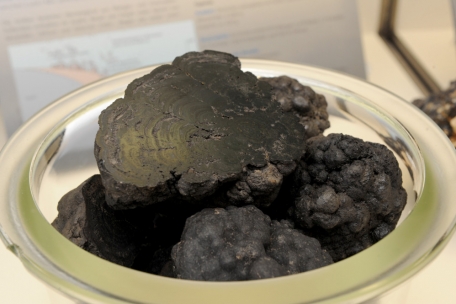 Umweltbedenken / Das Rennen um Rohstoffe in der Tiefsee ist eröffnet