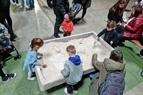 Die Pal&auml;ontologen von morgen?&nbsp;Flei&szlig;ig suchten die Kinder nach Skeletten.
