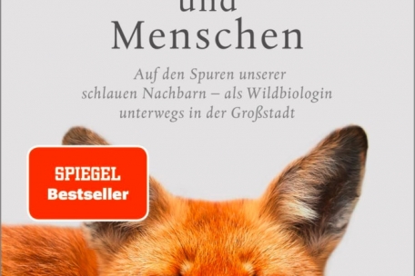 (2) Sophia Kimmig<br />
„Von Füchsen und Menschen. Auf den Spuren unserer schlauen Nachbarn – als Wildbiologin unterwegs in der Großstadt“<br />
Malik Verlag bei Piper, München,<br />
256 S., 18,00 Euro