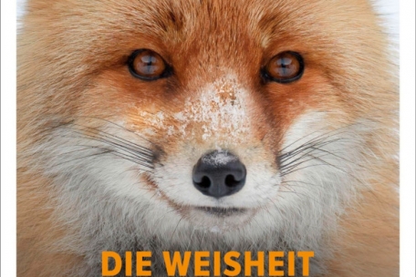 (1) Dag Frommhold & Daniel Peller<br />
„Die Weisheit der Füchse. Schlau, verspielt und fürsorglich – was wir von den gewitzten Überlebenskünstlern lernen können“<br />
Ludwig Verlag, München, 400 S., 22,00 Euro