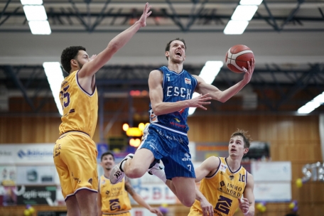 Basket Esch / Mit Herz und Charakter: Thomas Grün über seine erste Saison nach der Profikarriere