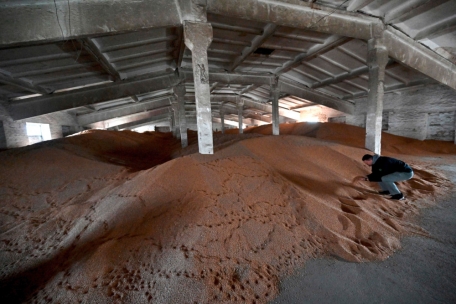 Getreidestreit / Beruhigungspille für die Bauern: Brüssel vermittelt zwischen Ukraine und EU-Staaten