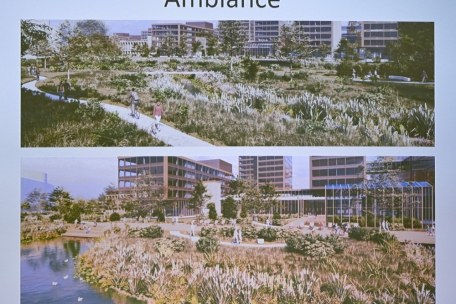 So oder so &auml;hnlich k&ouml;nnte die Umgebung des Campus einmal aussehen&nbsp;