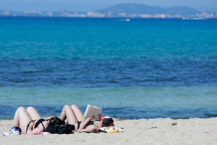 Haie vor Mallorca / Urlauber besorgt, Forscher erfreut 