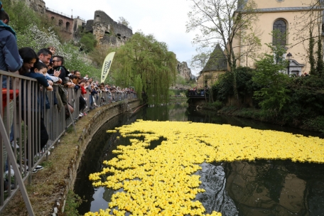 Duck Race 2023 / Am Samstag schwimmen Entchen in Luxemburg wieder um die Wette