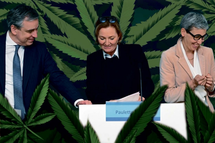 Cannabis / Kein weiteres Gesetz vor den Wahlen: Es bleibt bei der „Legalisierung light“