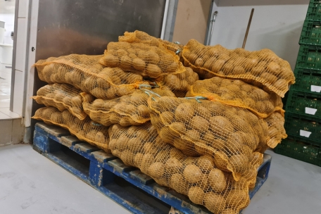 Die Qualit&auml;t der Erd&auml;pfel ist von den Wetterbedingungen abh&auml;ngig