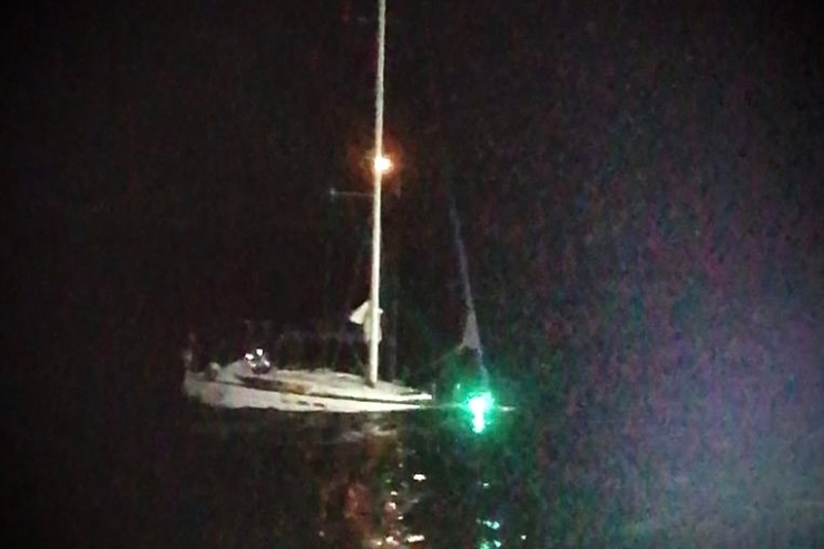 Spanien / Killerwale versenken Schweizer Segeljacht vor Küste – Forscher: Orcas üben mit Booten die Thunfischjagd