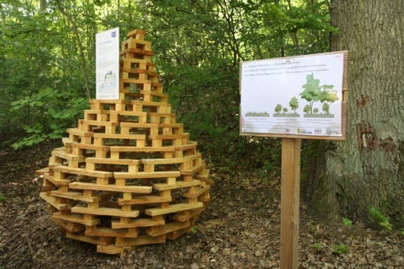 Schifflingen / Frisch eingeweiht: Zwei neue Rundgänge bringen dem Wanderer das Wasser näher