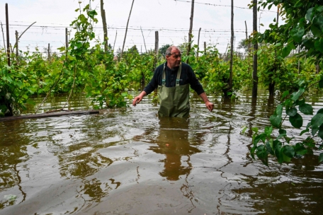 Ein Obstbauer begutachtet am 20. Mai 2023 in dem Dorf Ghibullo in der N&auml;he von Ravenna die Sch&auml;den an seinem &uuml;berschwemmten Grundst&uuml;ck, nachdem das Hochwasser die Region Emilia-Romagna heimgesucht hat