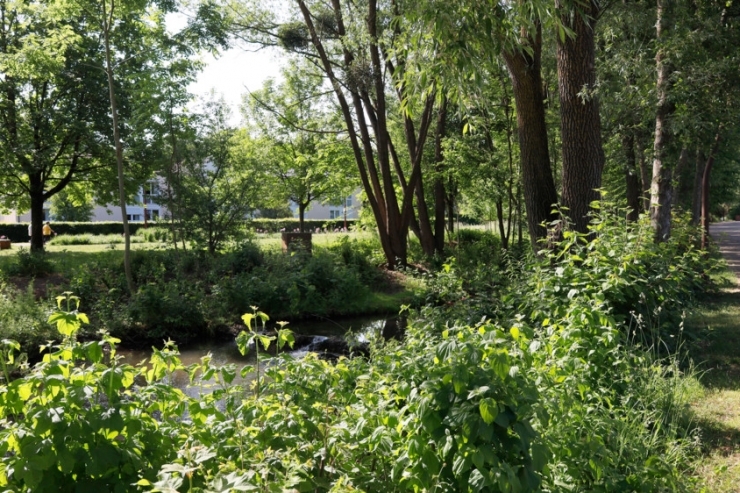 Gemeindewahlen / In Kayl-Tetingen sind alle Optionen möglich