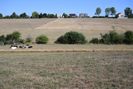 Umwelt / Feuchter Winter, trockener Frühling: Statec beziffert Klimawandel in Luxemburg