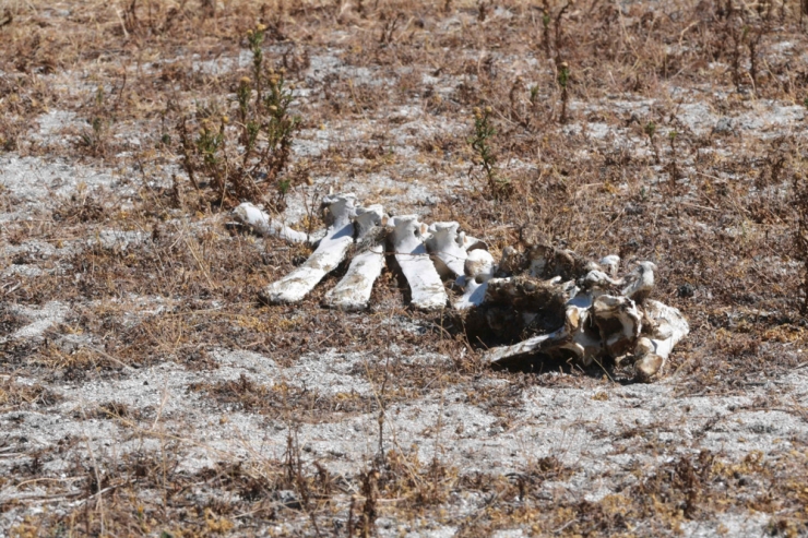 Brüssel / „Klimaschutz steht auf der Kippe“