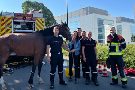Ende gut, alles gut / Tierischer Einsatz für die Feuerwehr aus Mamer 