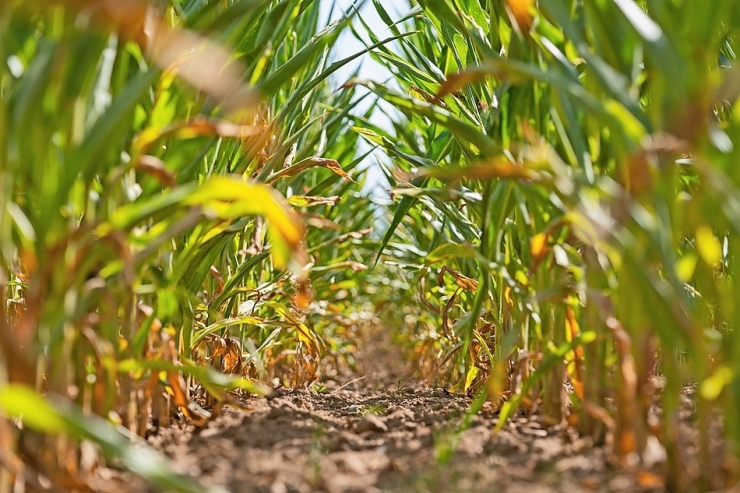 Meteolux / Wird der Juni der wärmste Monat seit Beginn der Aufzeichnungen?
