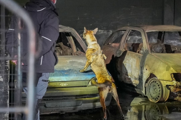 Sprengstoff- und Minenspürhunde / Arina wurde für den Einsatz in der Ukraine in Luxemburg ausgebildet