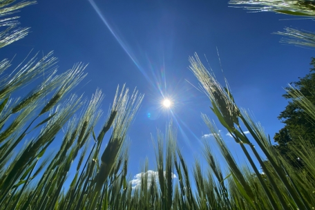 Wetter / Meteolux: Juni 2023 war der bisher wärmste und sonnigste Juni auf der Findel-Wetterstation
