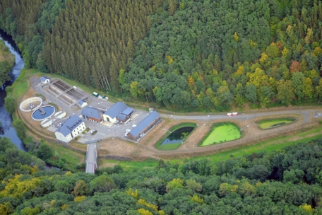 Kommunalpolitik  / Gemeindesyndikate: Im juristischen Bermudadreieck