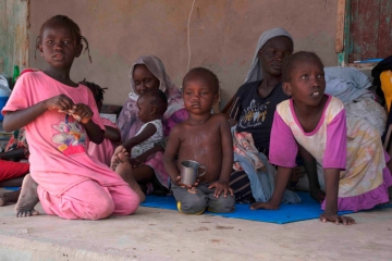 Ende der Kämpfe im Sudan gefordert / Afrikanische Staats- und Regierungschefs berieten in Kairo über Konflikt